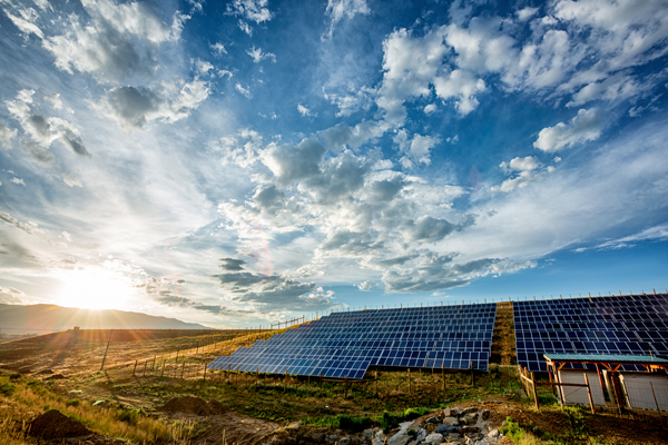 Field Of Solar Panels In A Rural Setting