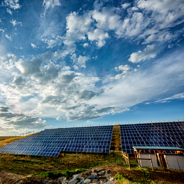 Field Of Solar Panels In A Rural Setting